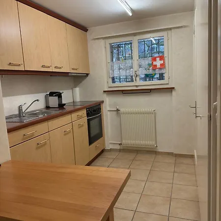 Charming & Quiet With Mountain Panorama Apartment Ringgenberg